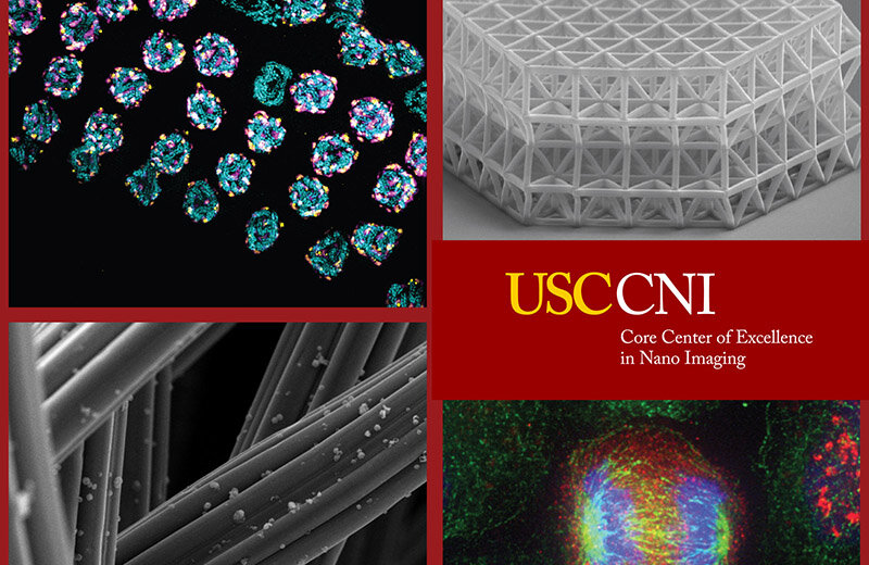 USCs New Cryogenic Electron Microscopy Facility Officially Opens For